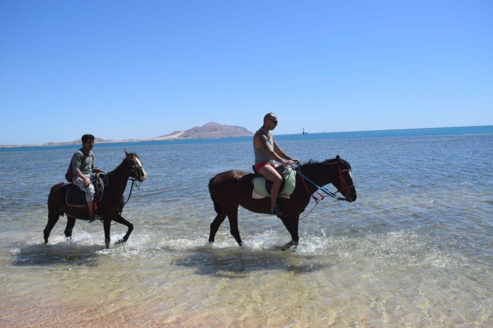 Horse Riding Adventure