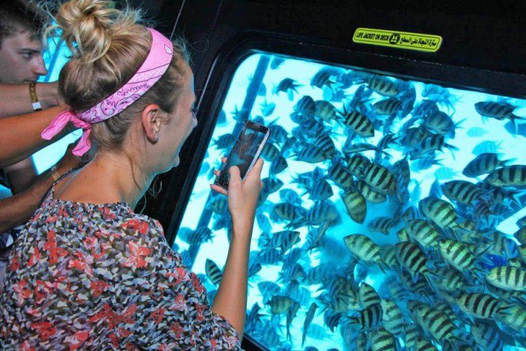 Sharm el-Sheikh: Panoramic Glass Bottom Boat